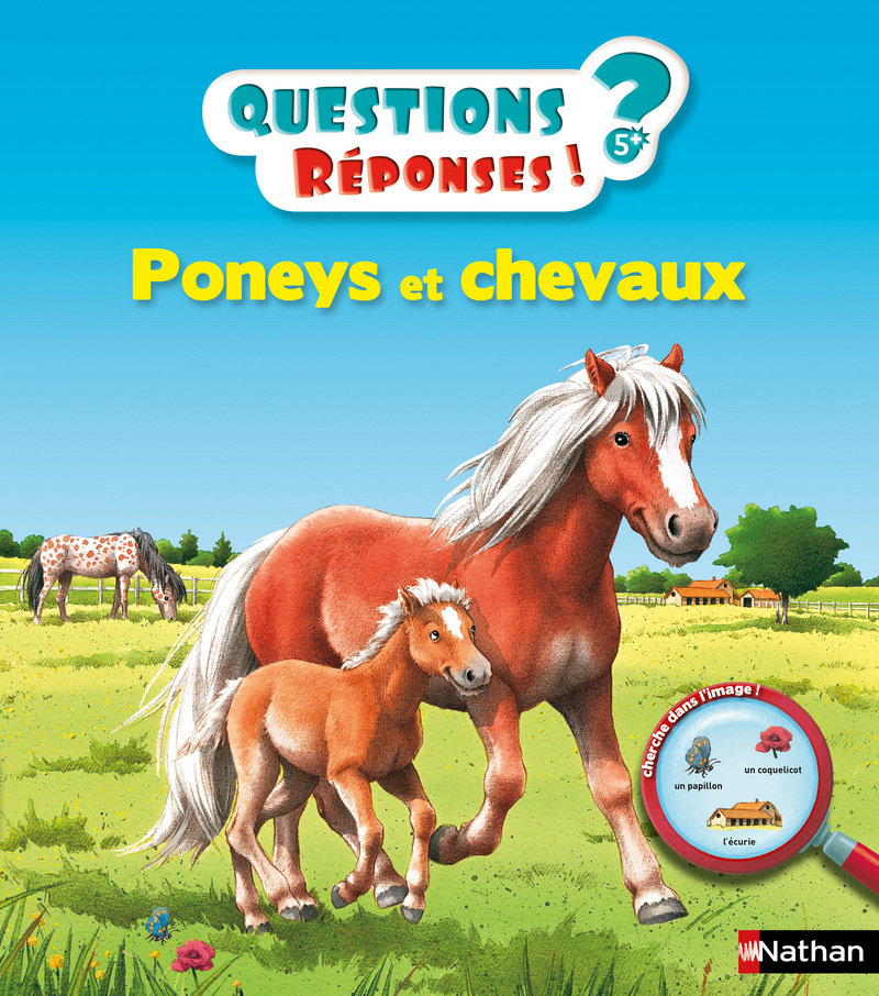 Poneys et chevaux – Questions/Réponses  – doc dès 5 ans