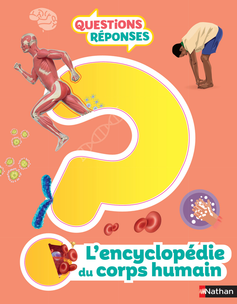 L’Encyclopédie du corps humain – Questions/réponses – Dès 7 ans