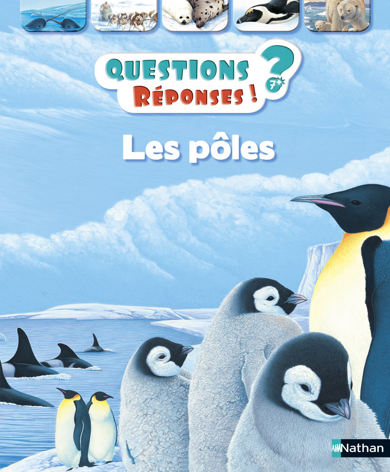 Les pôles – Questions/Réponses – doc dès 7 ans