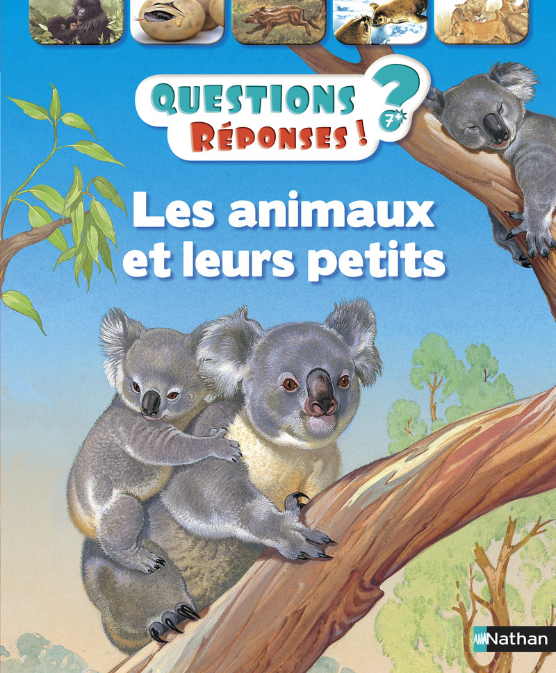 Les animaux et leurs petits – Questions/Réponses – doc dès 7 ans