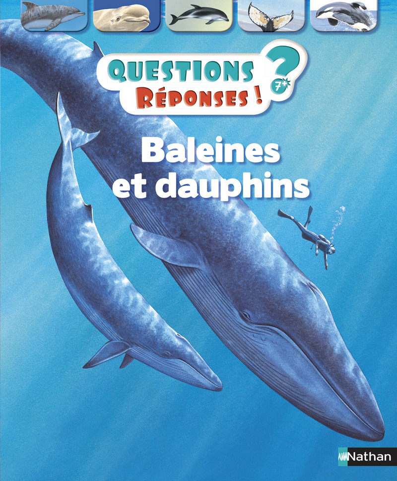 Baleines et dauphins – Questions/Réponses – doc dès 7 ans