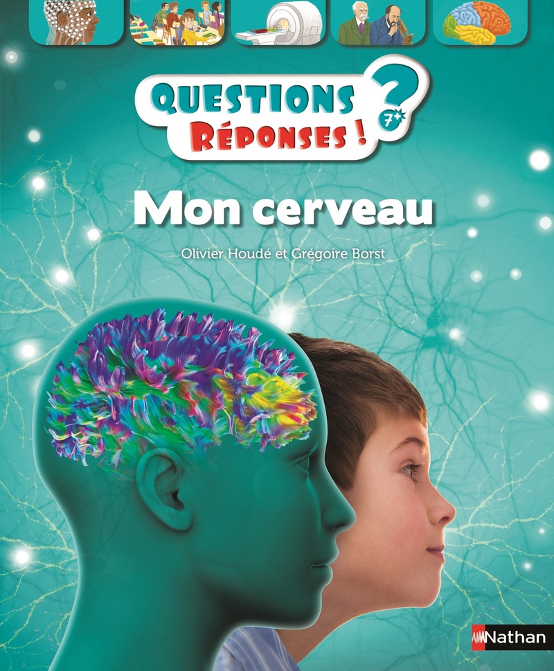 Mon cerveau – Questions/Réponses – doc dès 7 ans
